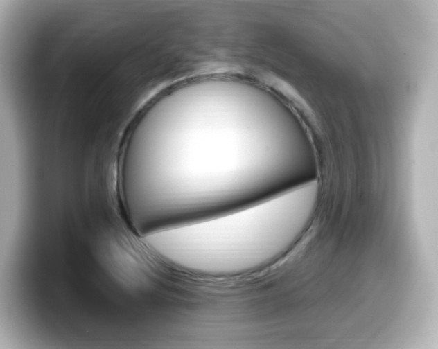 X0000099401220200805081234