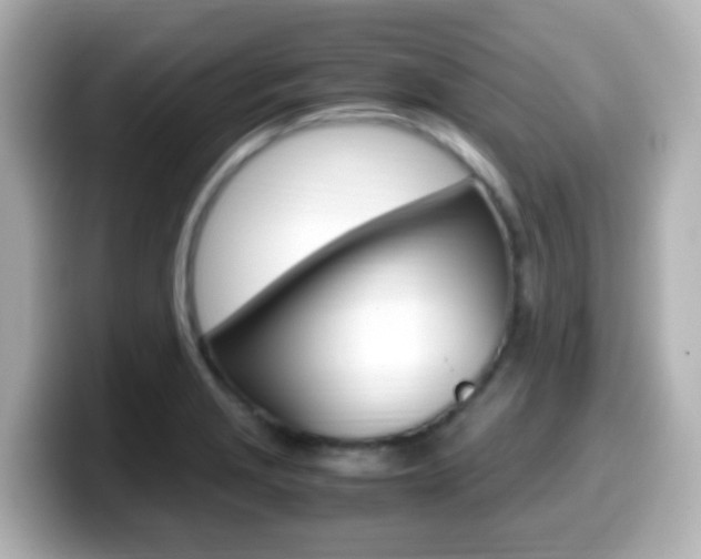 X0000099401229200805081234