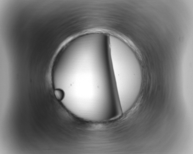 X0000099401230200805081234