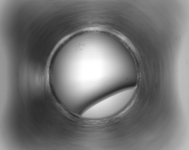X0000099401232200805081235