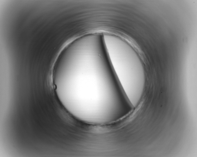 X0000099401234200805081235