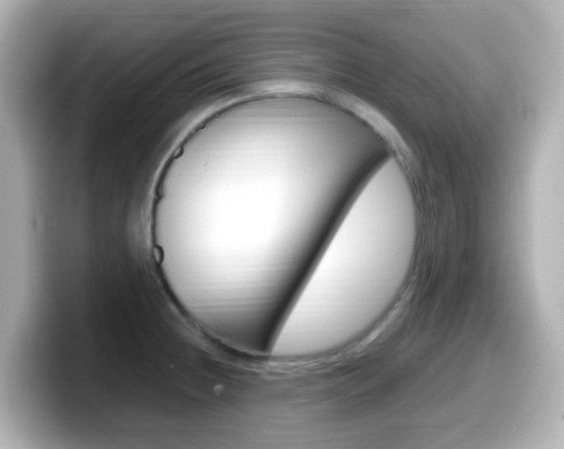 X0000099401236200805081235