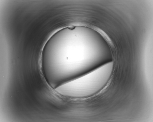 X0000099401244200805081235