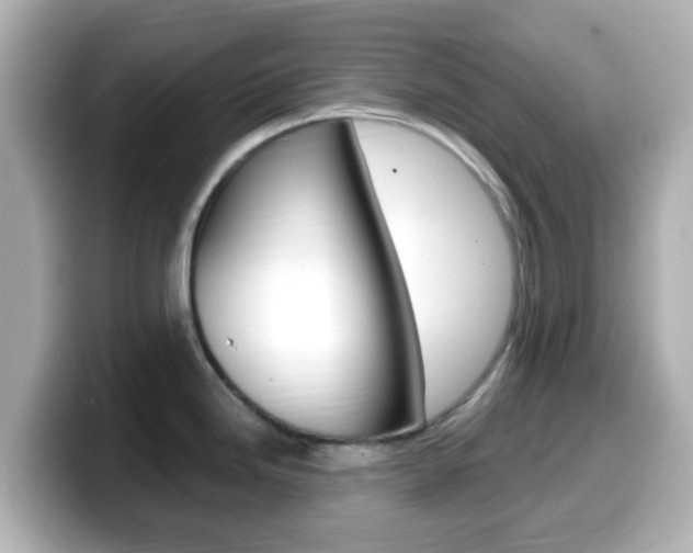 X0000099401246200805081235
