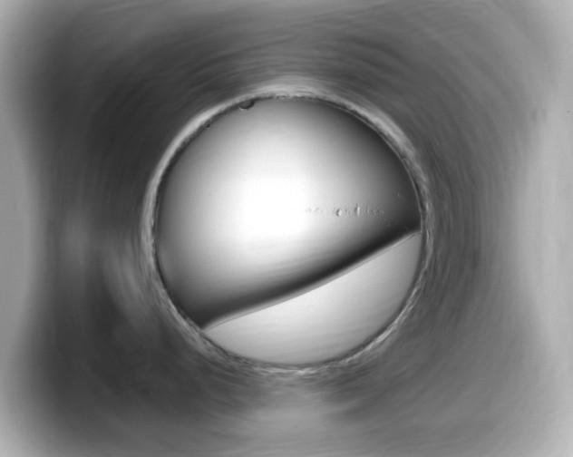 X0000099401248200805081235