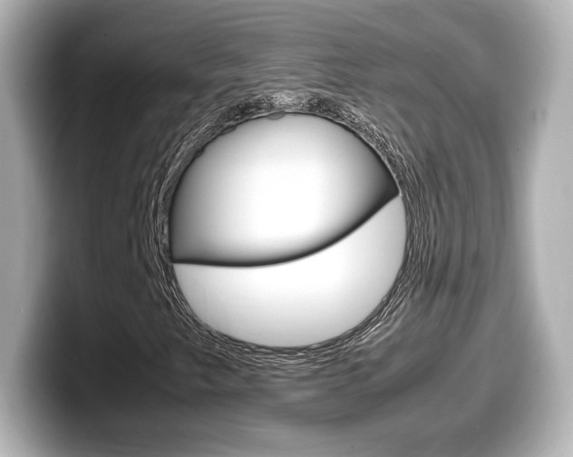 X0000099401249200805081234