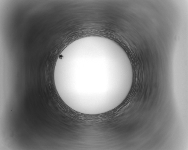 X0000099401250200805081234