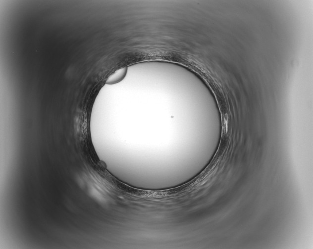 X0000099401251200805081234