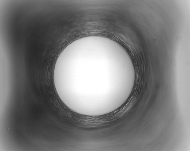 X0000099401252200805081234