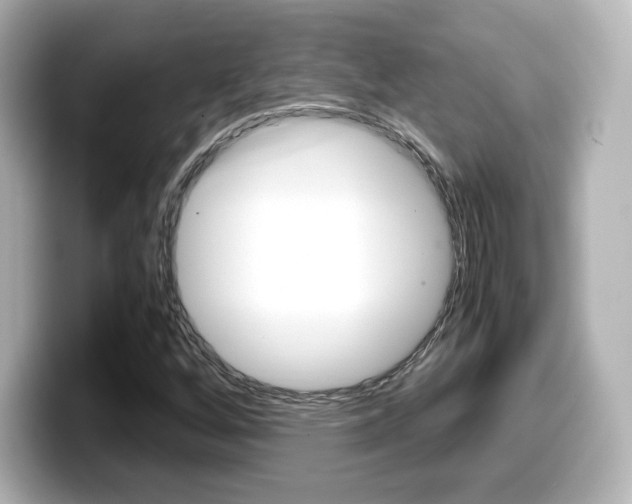 X0000099401256200805081234