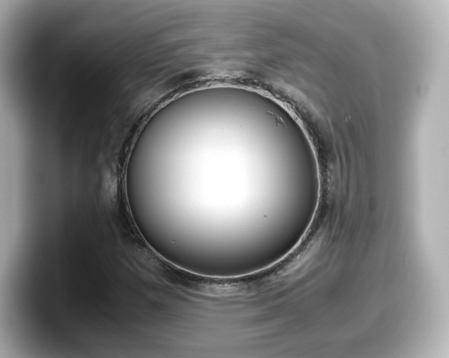 X0000099401257200805081234