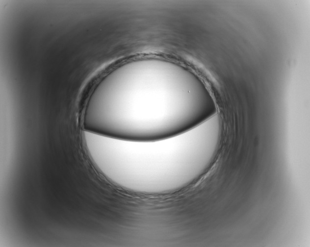 X0000099401262200805081234