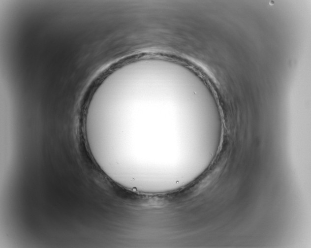 X0000099401263200805081234