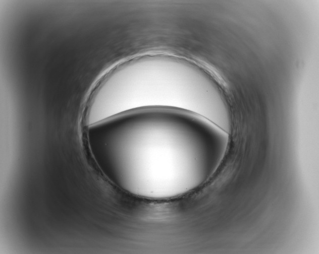 X0000099401264200805081234