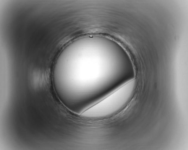 X0000099401265200805081234