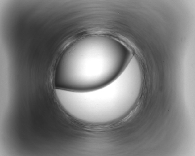 X0000099401273200805081234