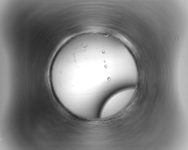 X0000099401283200805081234