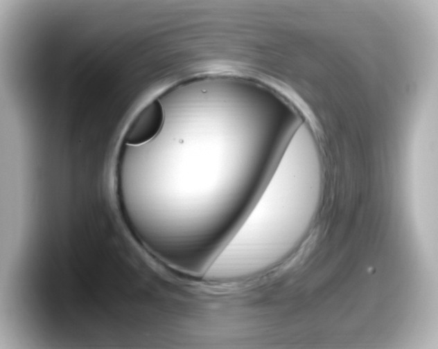 X0000099401285200805081234