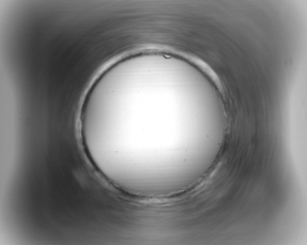 X0000099401287200805081234
