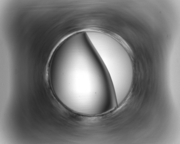 X0000099401292200805081234