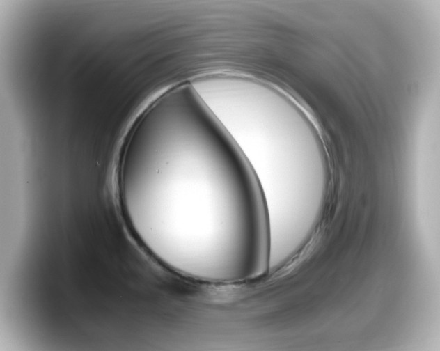 X0000099401293200805081234