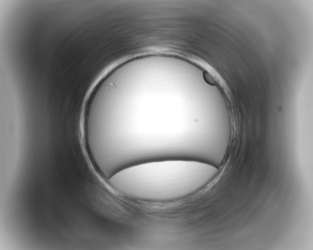 X0000099401294200805081233