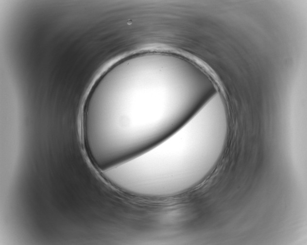 X0000099401295200805081233