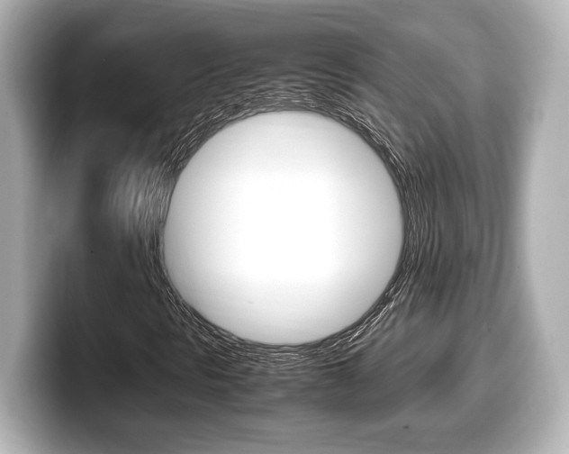 X0000099401297200805081233