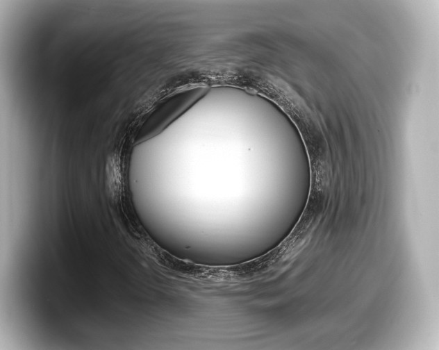 X0000099401298200805081233