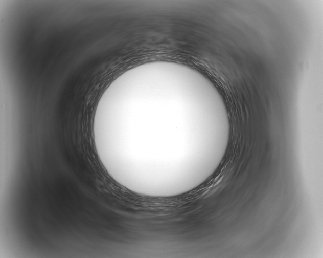 X0000099401299200805081233