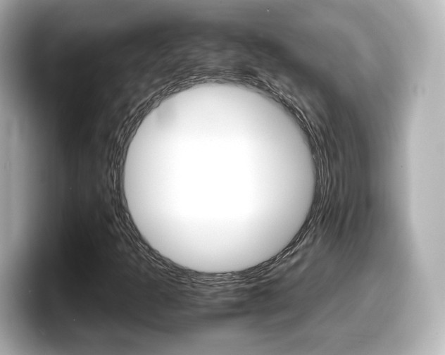 X0000099401301200805081233
