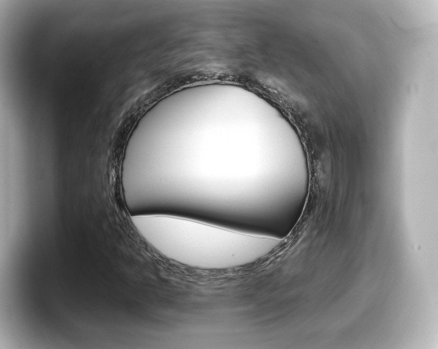 X0000099401302200805081233