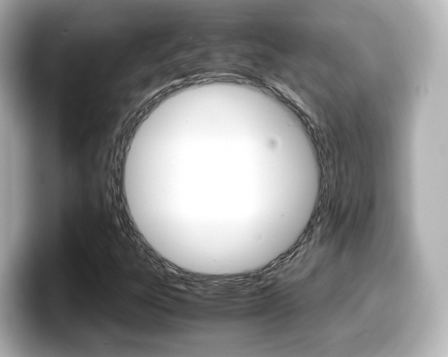 X0000099401303200805081233