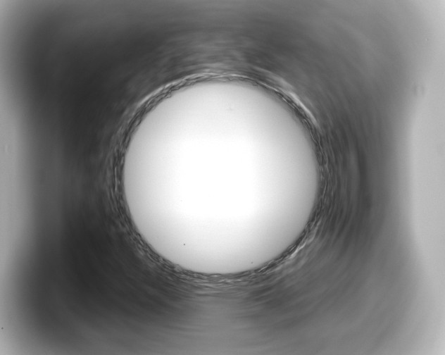 X0000099401304200805081233