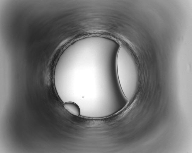 X0000099401306200805081233