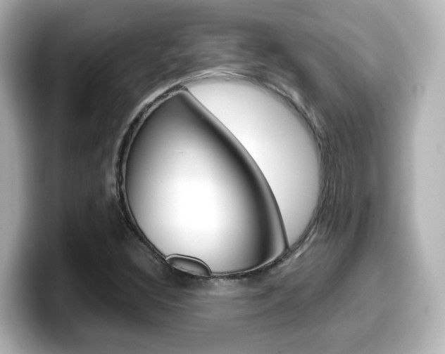 X0000099401308200805081233