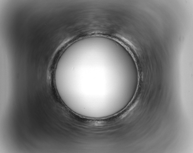 X0000099401309200805081233