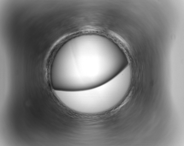 X0000099401310200805081233