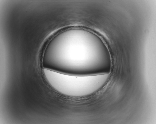 X0000099401311200805081233