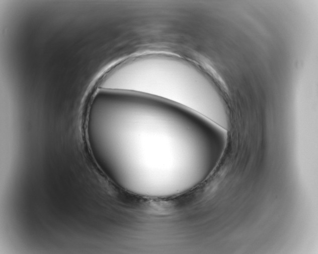 X0000099401312200805081233
