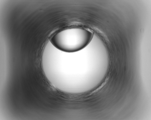X0000099401313200805081233