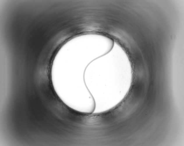 X0000099401314200805081233