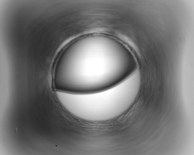 X0000099401316200805081233