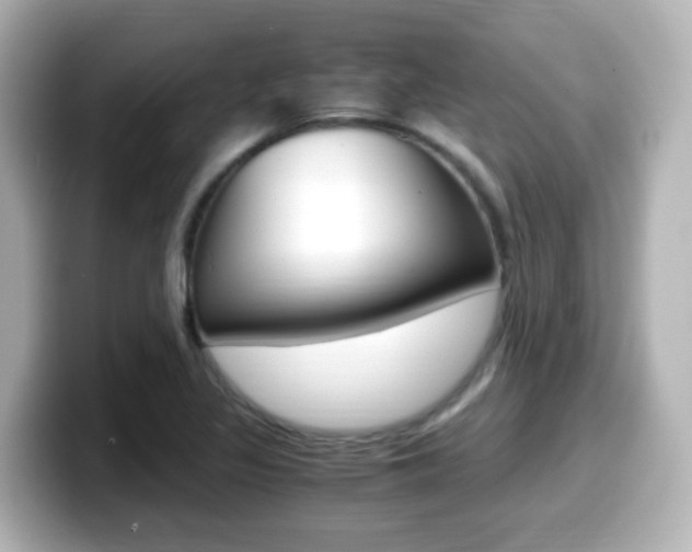 X0000099401317200805081233