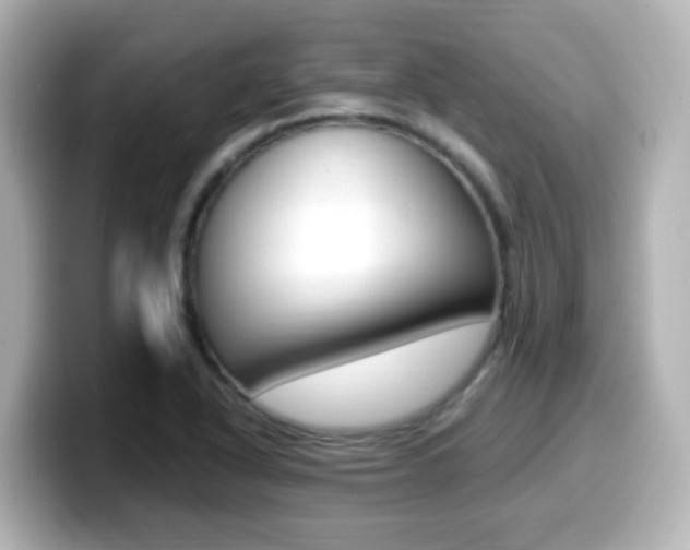 X0000099401318200805081233
