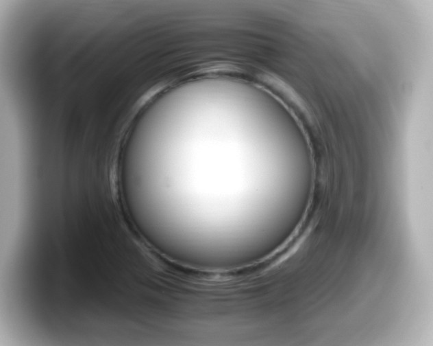 X0000099401321200805081233