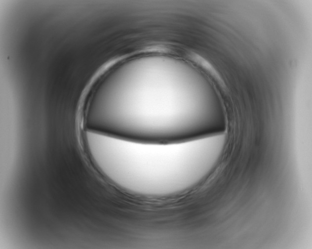 X0000099401323200805081233