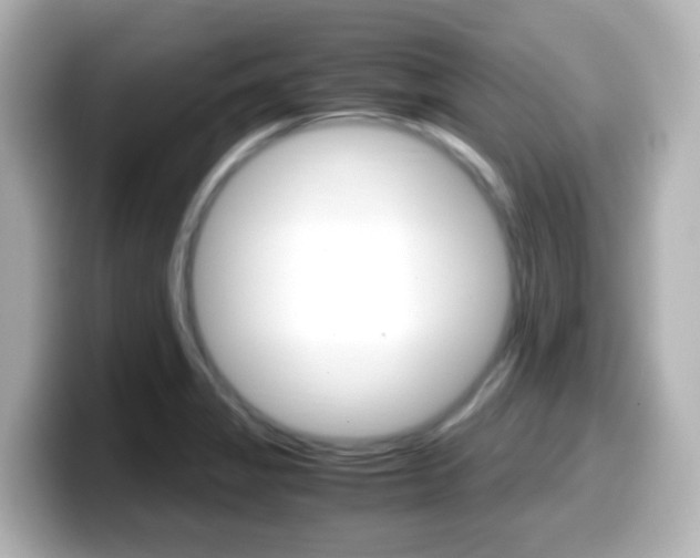 X0000099401325200805081233