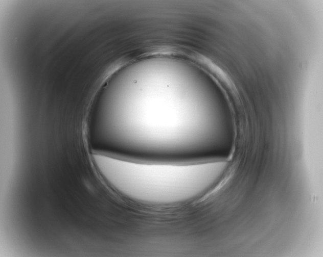 X0000099401329200805081233