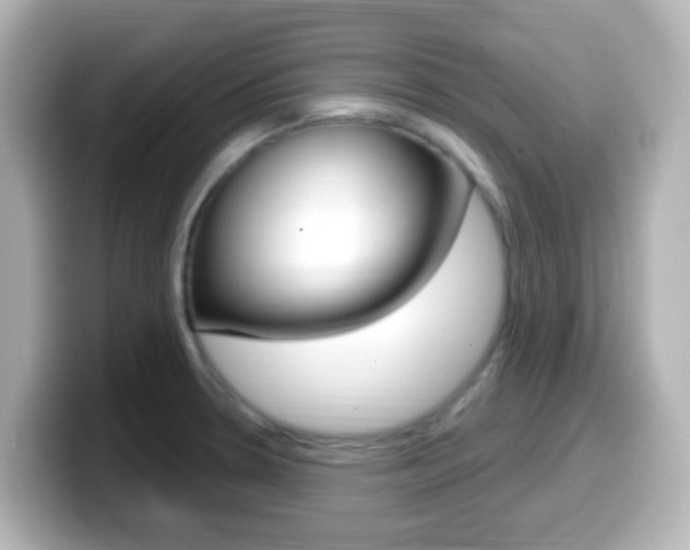 X0000099401330200805081233